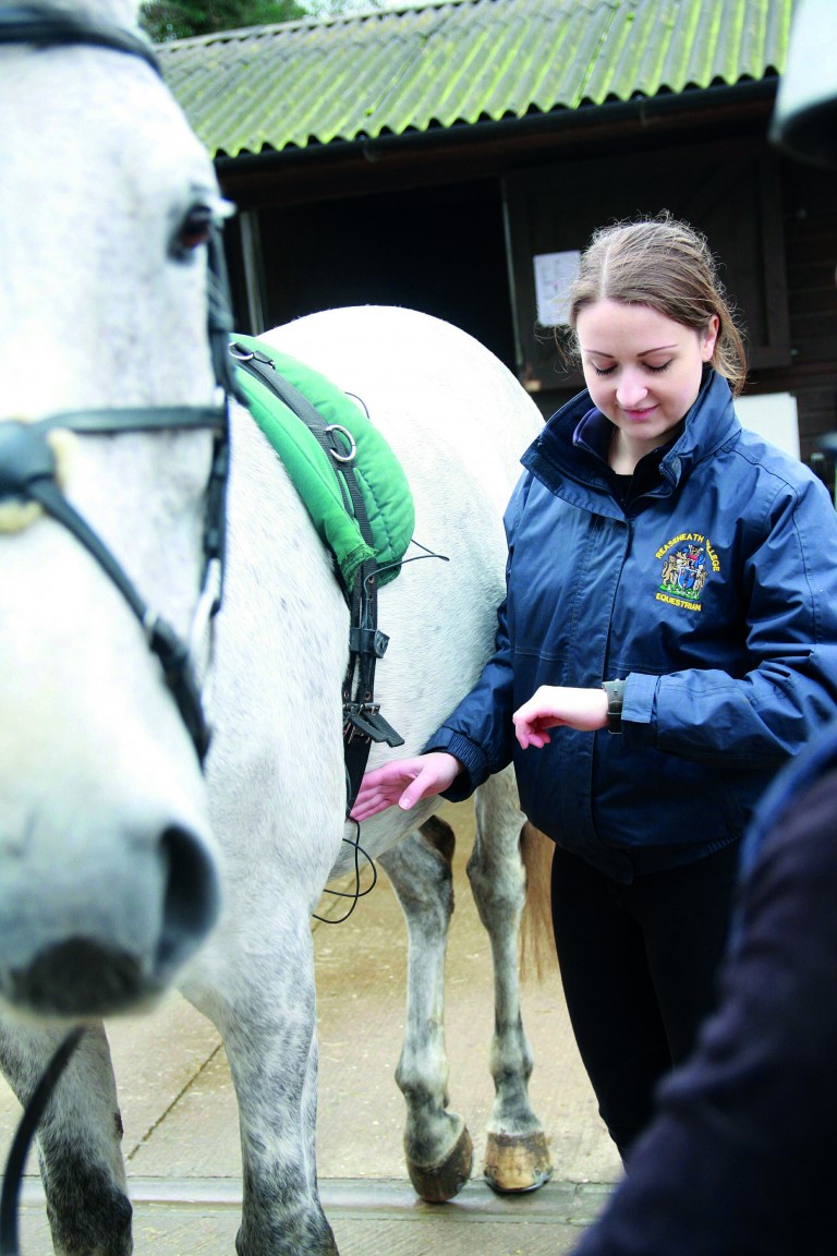 HE Equine - Applied Equine Behaviour - Reaseheath College