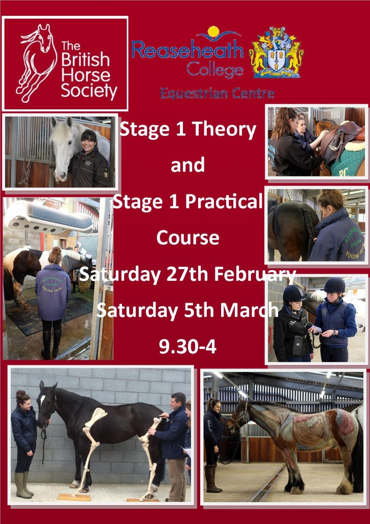 BHS Stage 1 Theory and Practical - Reaseheath College