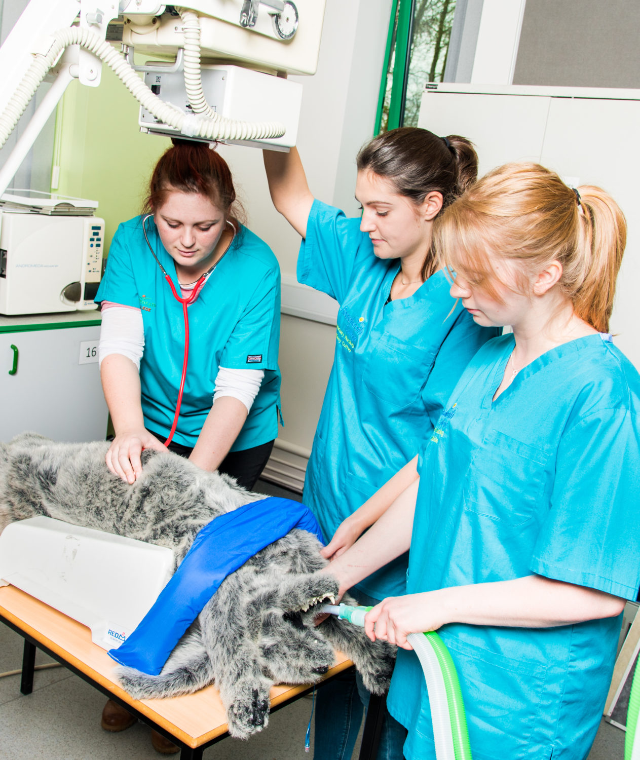 vet-nursing-dec-17-3-reaseheath-college