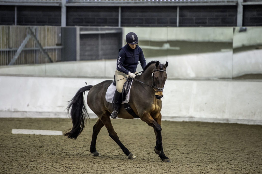 Reaseheath Equestrian Centre Camps Reaseheath College