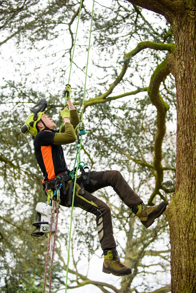 Forestry and Arboriculture Kit List - Reaseheath College