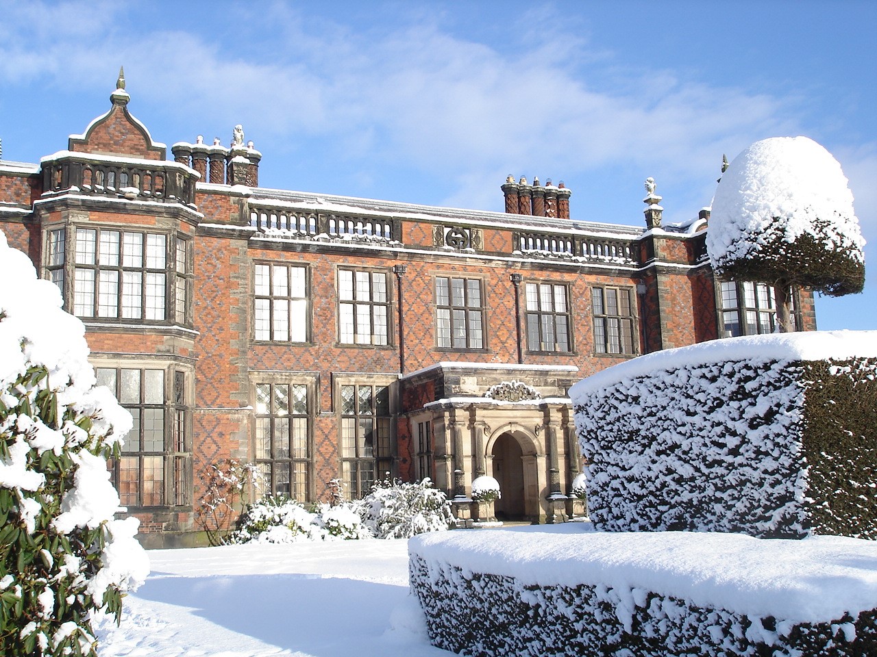 Florists deck the halls for a floral festive Christmas Reaseheath College