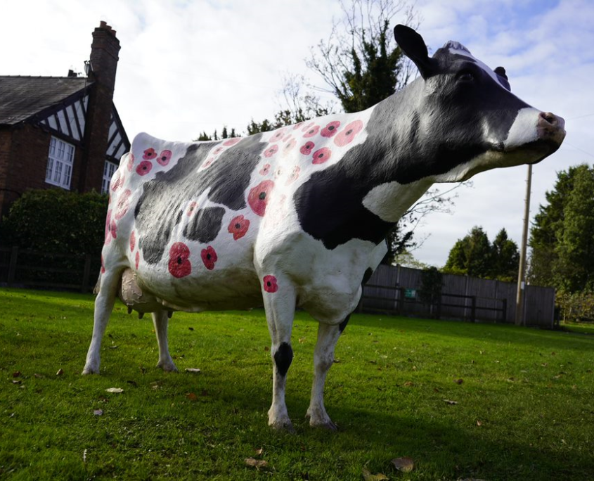 Reaseheath Remembers - Reaseheath College